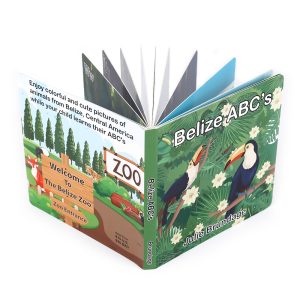 custom board book-1
